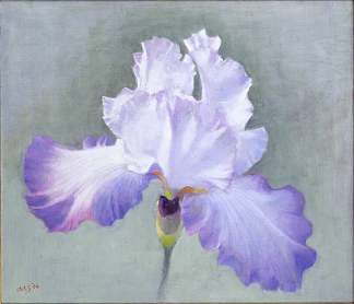 鸢尾花（艾丽兹） Iris (Alizes) (2004)，艾伦·希克勒
