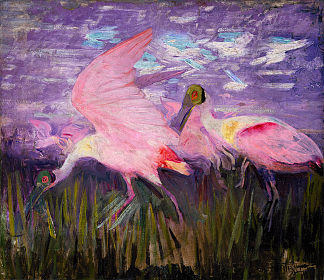 玫瑰琵鹭 Roseate Spoonbills (1909)，雅培·亨德森·塞耶