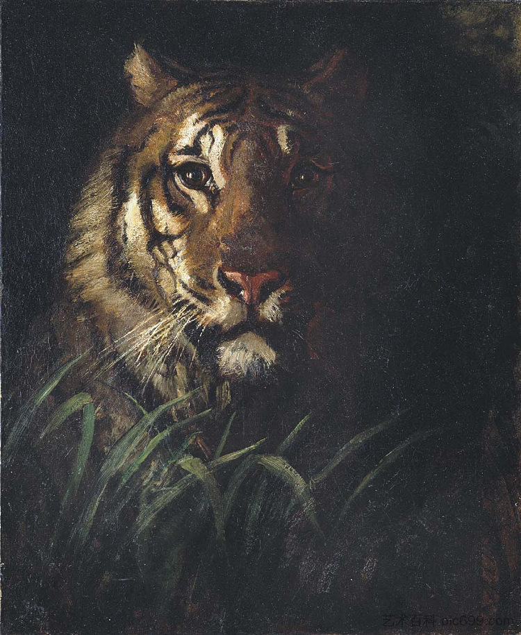 虎头 Tiger's Head (1874)，雅培·亨德森·塞耶