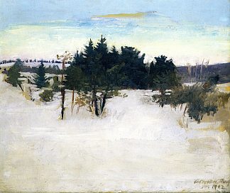 冬季景观 Winter Landscape (1902)，雅培·亨德森·塞耶