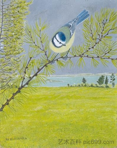 落叶松胳膊上的蓝山雀 Blue tit on a brach of a larch (1946),阿道夫迪特里希
