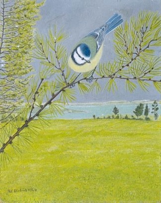 落叶松胳膊上的蓝山雀 Blue tit on a brach of a larch (1946)，阿道夫迪特里希