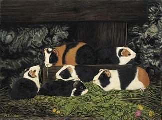 马厩里的六只豚鼠 Sechs Meerschweinchen im Stall (1934)，阿道夫迪特里希