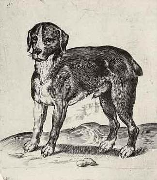 狗 Dog (1582 – 1585)，阿戈斯蒂诺·卡拉奇