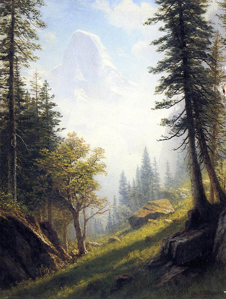 在伯尔尼阿尔卑斯山之间 Among the Bernese Alps,阿尔伯特·比尔施塔特