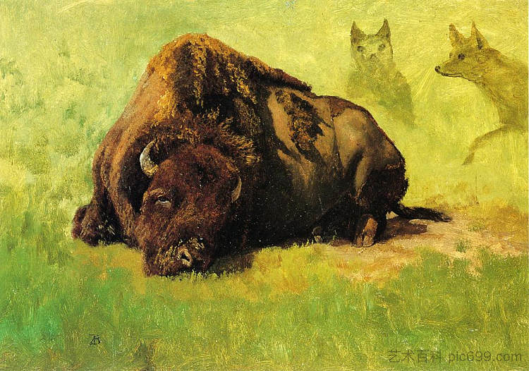 野牛与土狼在背景 Bison with Coyotes in the Background，阿尔伯特·比尔施塔特