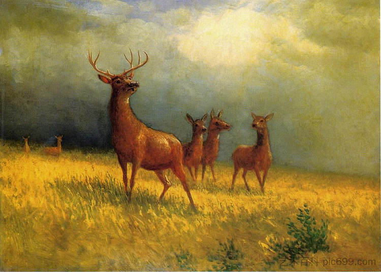 田野里的鹿 Deer in a Field (1885)，阿尔伯特·比尔施塔特