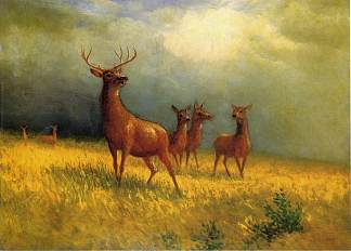 田野里的鹿 Deer in a Field (1885)，阿尔伯特·比尔施塔特