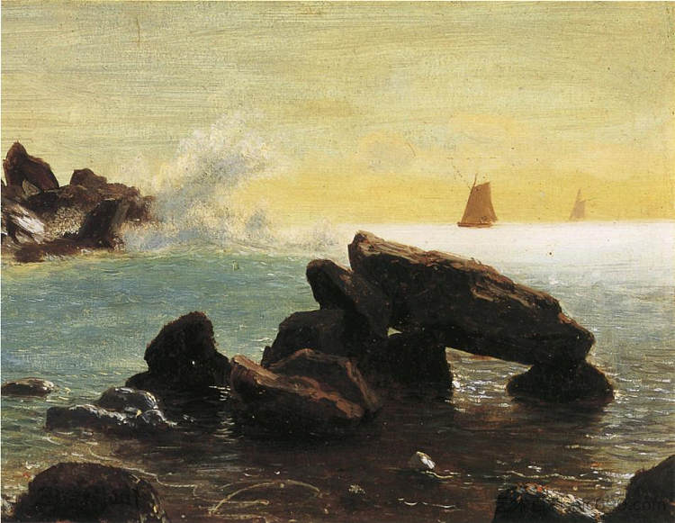 加利福尼亚州法拉隆群岛 Farralon Islands, California,阿尔伯特·比尔施塔特