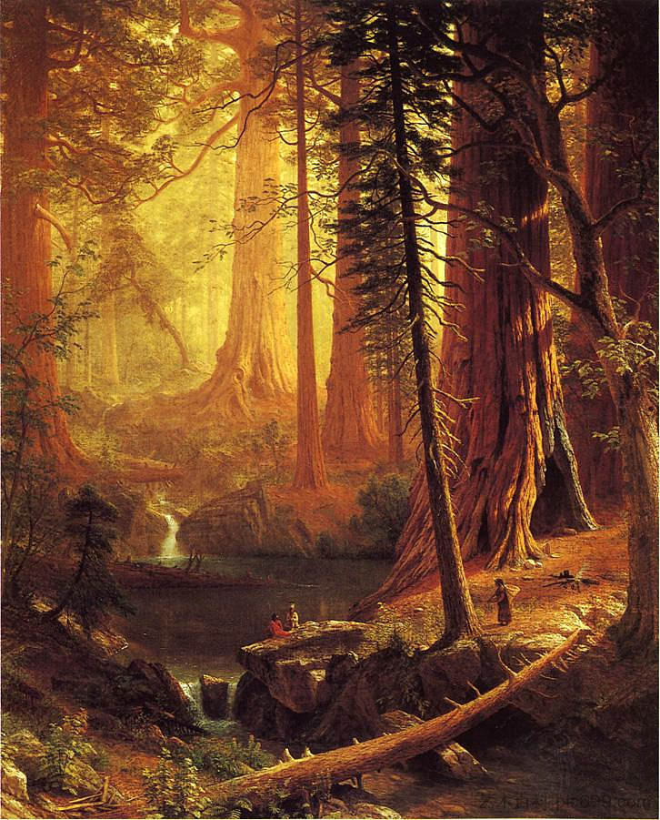 加州巨型红杉树 Giant Redwood Trees of California (1874)，阿尔伯特·比尔施塔特