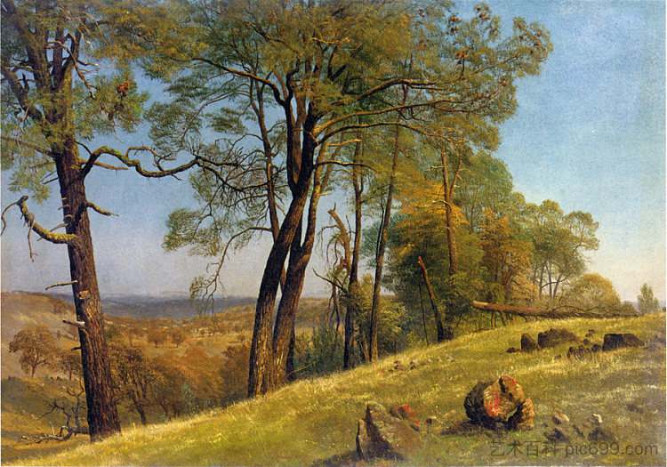 景观,加利福尼亚州罗克兰县 Landscape, Rockland County, California (c.1872),阿尔伯特·比尔施塔特