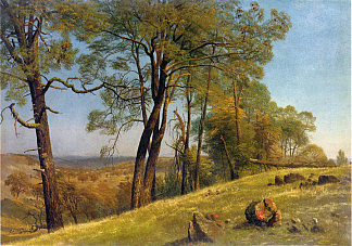 景观，加利福尼亚州罗克兰县 Landscape, Rockland County, California (c.1872)，阿尔伯特·比尔施塔特