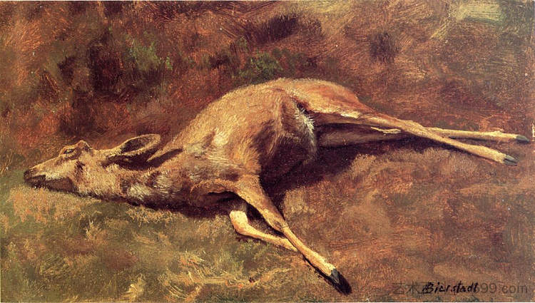 森林的本地人 Native of the Woods,阿尔伯特·比尔施塔特