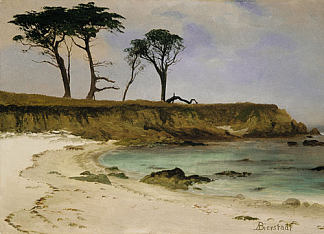 海湾 Sea Cove (c.1890)，阿尔伯特·比尔施塔特