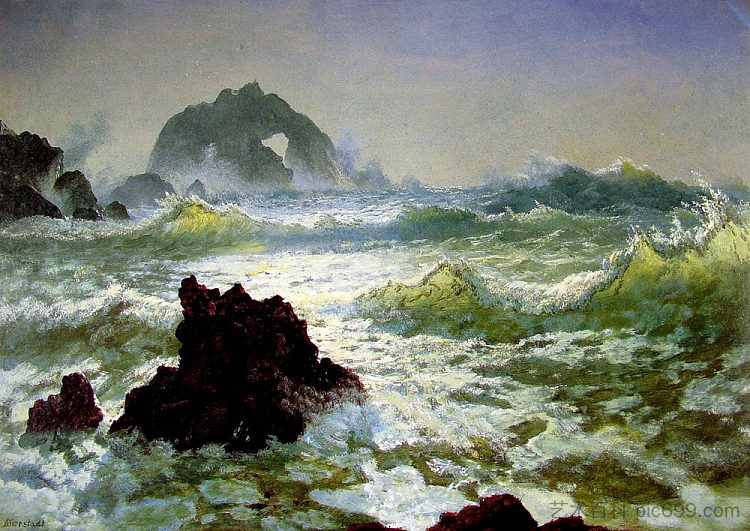 海豹岩， 加利福尼亚州 Seal Rock, California (c.1872)，阿尔伯特·比尔施塔特