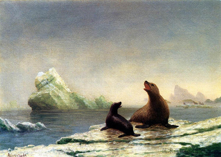 海豹 Seals,阿尔伯特·比尔施塔特