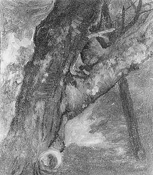 一棵树的研究 Study of a Tree (1864)，阿尔伯特·比尔施塔特
