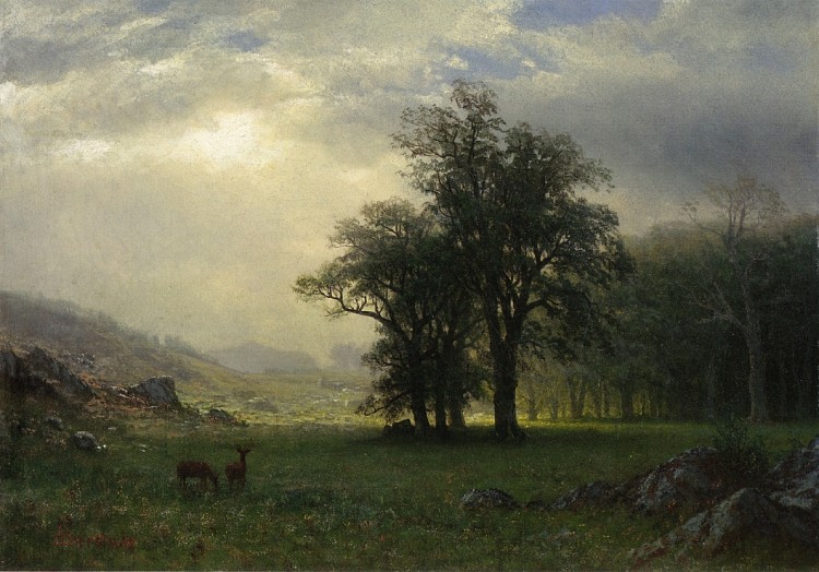 开放式峡谷 The Open Glen (c.1877 - c.1879)，阿尔伯特·比尔施塔特