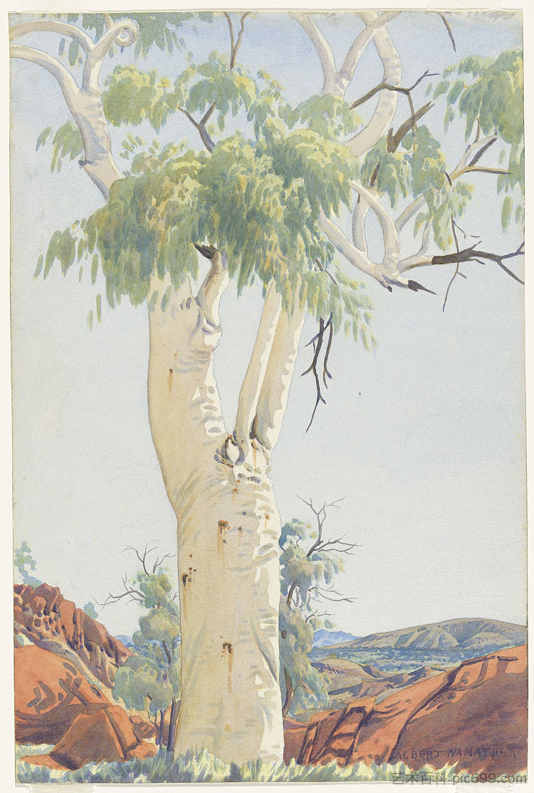 幽灵口香糖，格伦海伦 Ghost Gum, Glen Helen (c.1950)，阿尔伯特·纳马吉拉