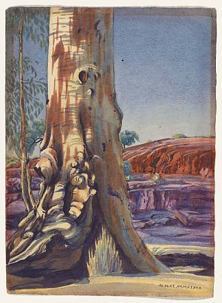 胶树和沙丘 Gum Tree and Sandhill (c.1938)，阿尔伯特·纳马吉拉