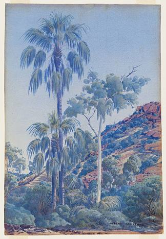 棕榈谷 Palm Valley (c.1956)，阿尔伯特·纳马吉拉
