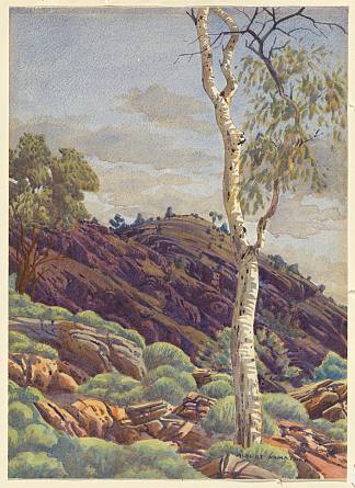 华莱士山水潭附近的斯皮尼菲克斯山脊 Spinifex Ridge near Mt Wallace Waterhole (c.1945)，阿尔伯特·纳马吉拉