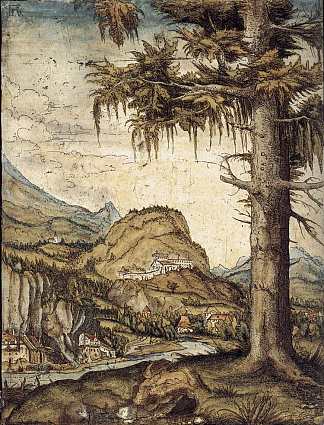 大云杉 The Large Spruce (1512 – 1522)，阿尔布雷希·阿尔特多费尔