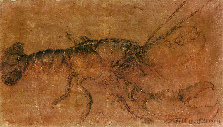 一只龙虾 A lobster (1495)，阿尔布雷希特·丢勒