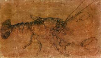 一只龙虾 A lobster (1495)，阿尔布雷希特·丢勒