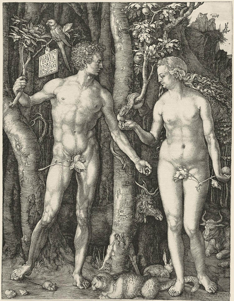 亚当和夏娃 Adam and Eve (1504)，阿尔布雷希特·丢勒