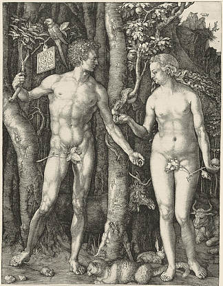 亚当和夏娃 Adam and Eve (1504)，阿尔布雷希特·丢勒