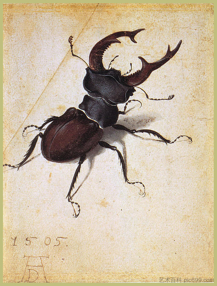 塞夫斯·卢坎 Cervus Lucanus (1505)，阿尔布雷希特·丢勒