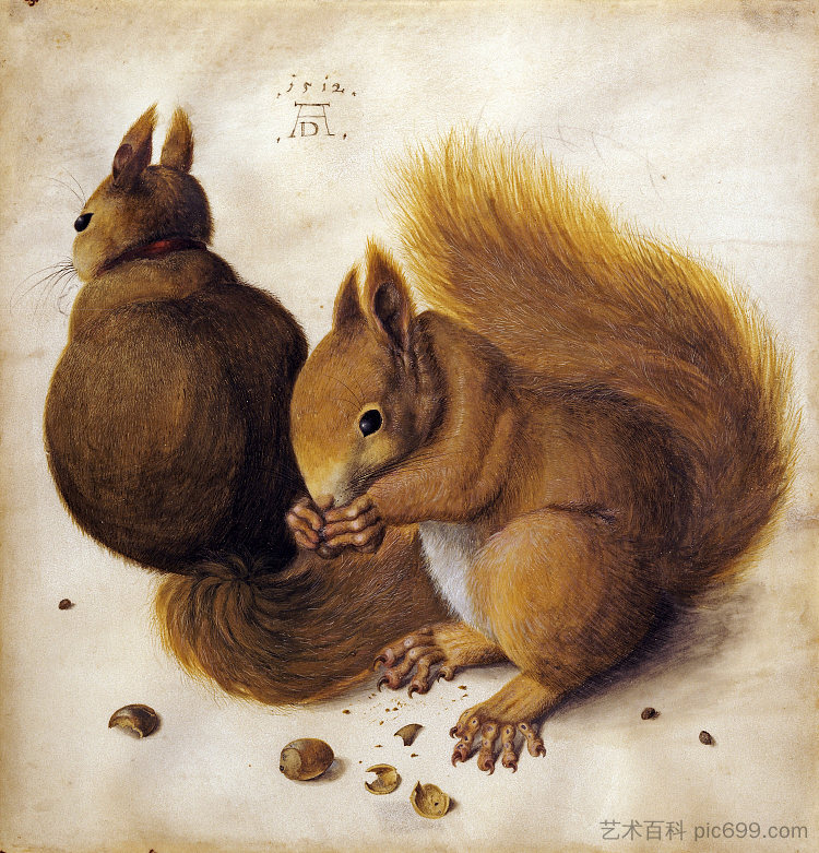 两只松鼠 Two squirrels (1492)，阿尔布雷希特·丢勒