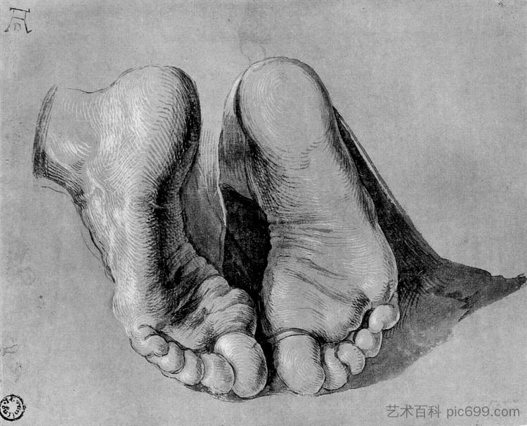 使徒的脚 Feet of an apostle，阿尔布雷希特·丢勒