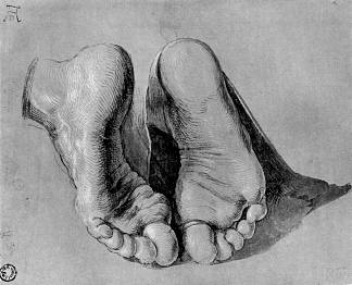 使徒的脚 Feet of an apostle，阿尔布雷希特·丢勒