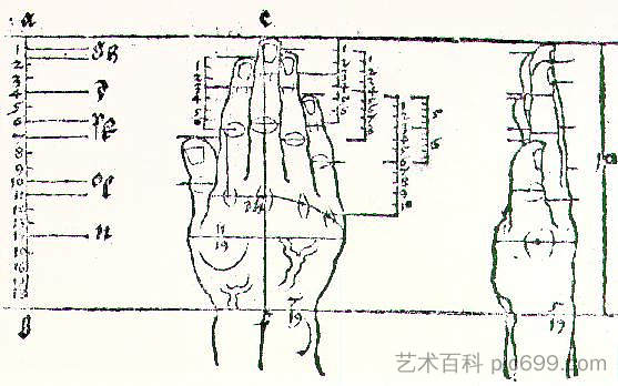 手 Hand (1528)，阿尔布雷希特·丢勒