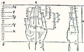 手 Hand (1528)，阿尔布雷希特·丢勒