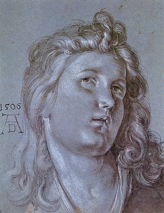 天使的头 Head of an Angel (1506)，阿尔布雷希特·丢勒