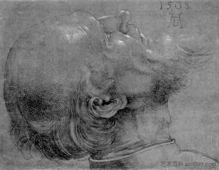 使徒的头 Head of an apostle (1508)，阿尔布雷希特·丢勒