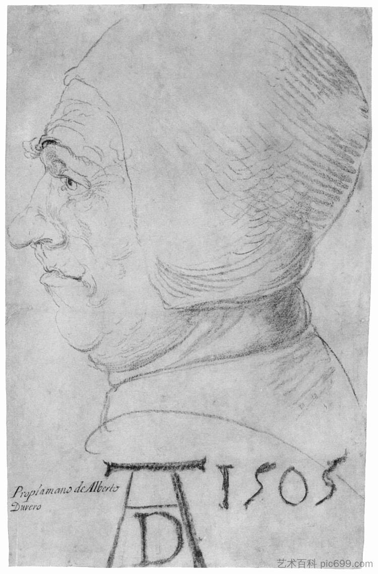 一个老人的头像简介 Head of an old man in profile (1505)，阿尔布雷希特·丢勒