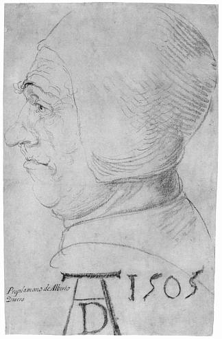 一个老人的头像简介 Head of an old man in profile (1505)，阿尔布雷希特·丢勒
