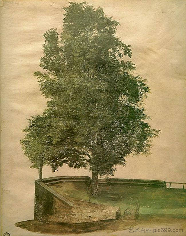 堡垒上的菩提树 Linden Tree on a Bastion (1494)，阿尔布雷希特·丢勒
