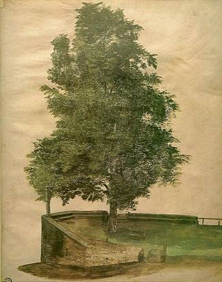 堡垒上的菩提树 Linden Tree on a Bastion (1494)，阿尔布雷希特·丢勒