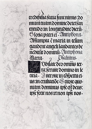 马克西米利安皇帝祈祷书的边缘图纸页 Pages Of Marginal Drawings For Emperor Maximilian`s Prayer Book (1515)，阿尔布雷希特·丢勒