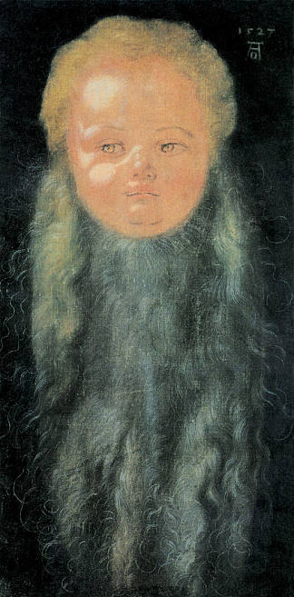 留着长胡子的男孩的肖像 Portrait of a Boy with a Long Beard (c.1527)，阿尔布雷希特·丢勒