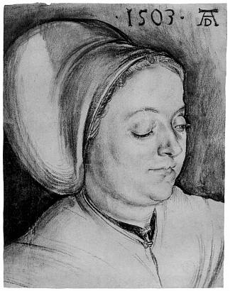 一个女人的肖像（Creszentia Pirckheimer） Portrait of a Woman (Creszentia Pirckheimer) (1503)，阿尔布雷希特·丢勒