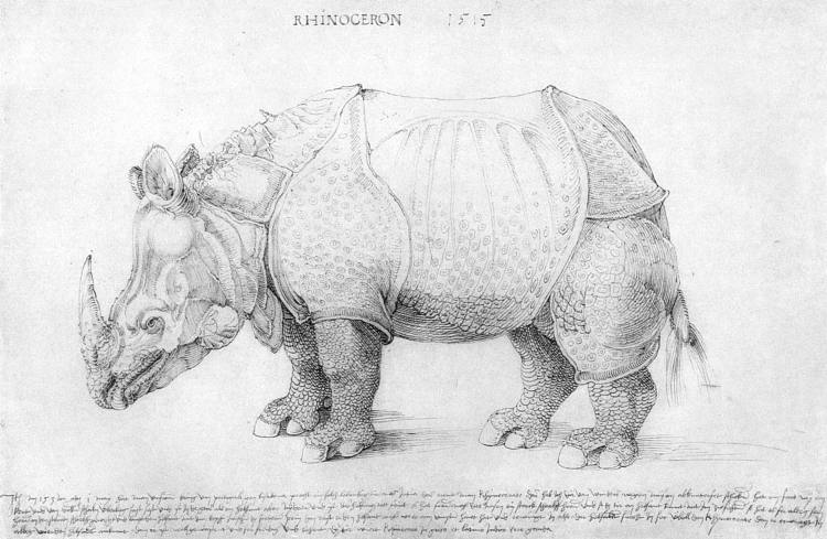 犀牛 Rhinoceros (1515)，阿尔布雷希特·丢勒