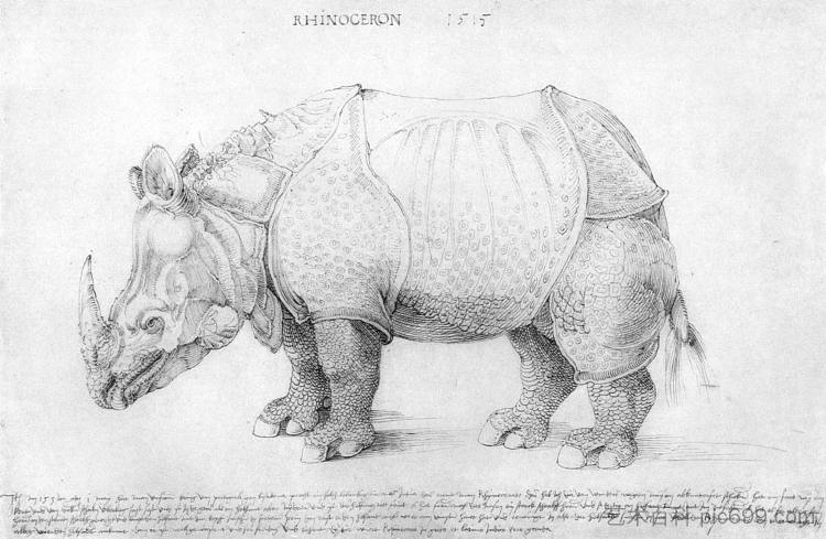 犀牛 Rhinoceros (1515)，阿尔布雷希特·丢勒