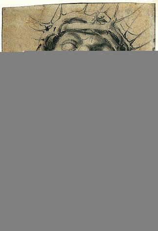 自画像作为死去的基督，假定的自画像 Self Portrait as a Dead Christ, Supposed Self Portrait (1503)，阿尔布雷希特·丢勒
