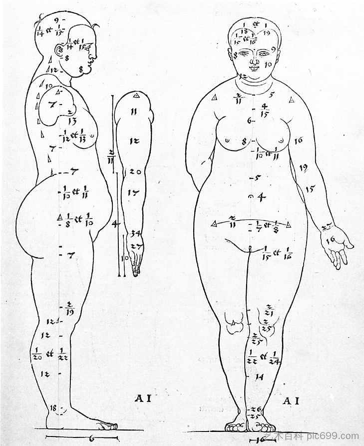 女性头部的侧面和正面视图 Side and frontal view of the female head (1528),阿尔布雷希特·丢勒